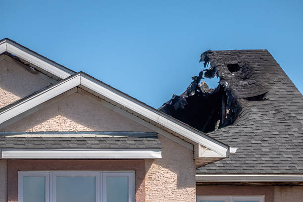Top rated local Fire Damage Removal specialists in Balm, FL